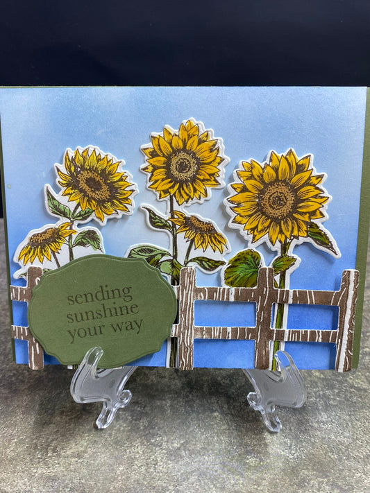 Sending Sun Shine your way - CM Design Studios