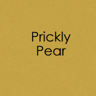 Cardstock - 8.5" x 11" - Prickly Pear - Heavy Weight